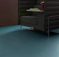 Forbo Marmoleum Decibel on Order 375435 Sirius фото 2 | FLOORDEALER